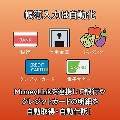 会計王22 NPO法人スタイル 4