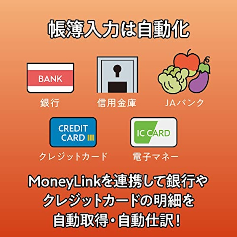 会計王22 NPO法人スタイル 4