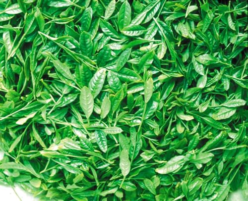 宇治抹茶入り粉末緑茶 お得用 3