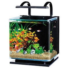 22年 メダカ飼育水槽のおすすめ人気ランキング選 Mybest 22年 メダカ飼育水槽のおすすめ人気ランキング選 Mybest