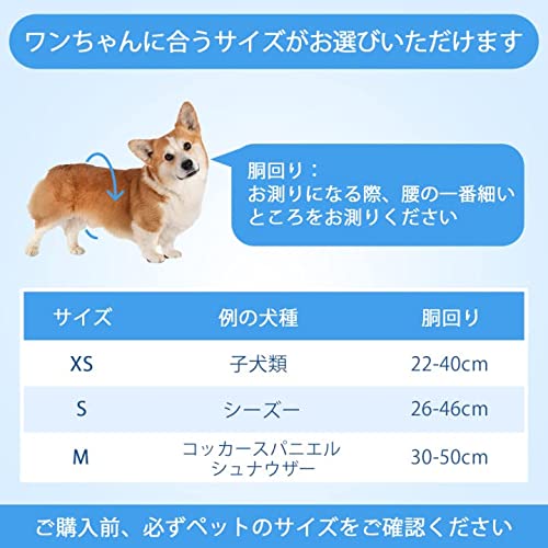 犬用おむつ 6