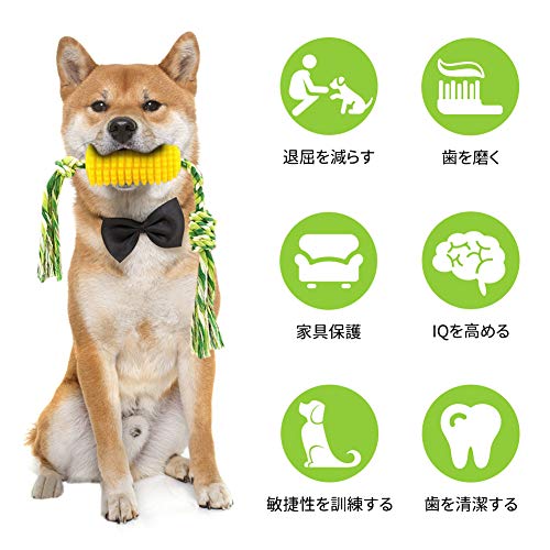 22年 犬用歯磨きおもちゃのおすすめ人気ランキング23選 Mybest