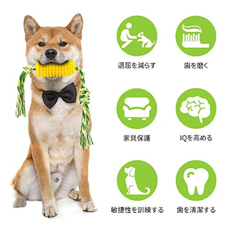 22年 犬用歯磨きおもちゃのおすすめ人気ランキング23選 Mybest 22年 犬用歯磨きおもちゃのおすすめ人気ランキング23選 Mybest