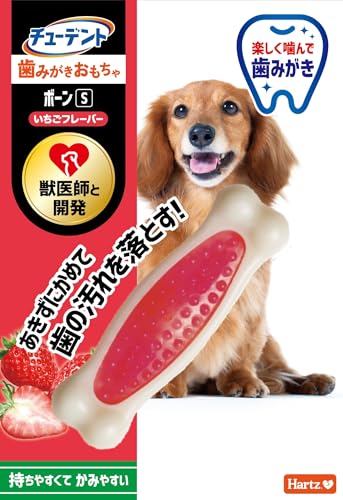歯みがきおもちゃ ボーン 1