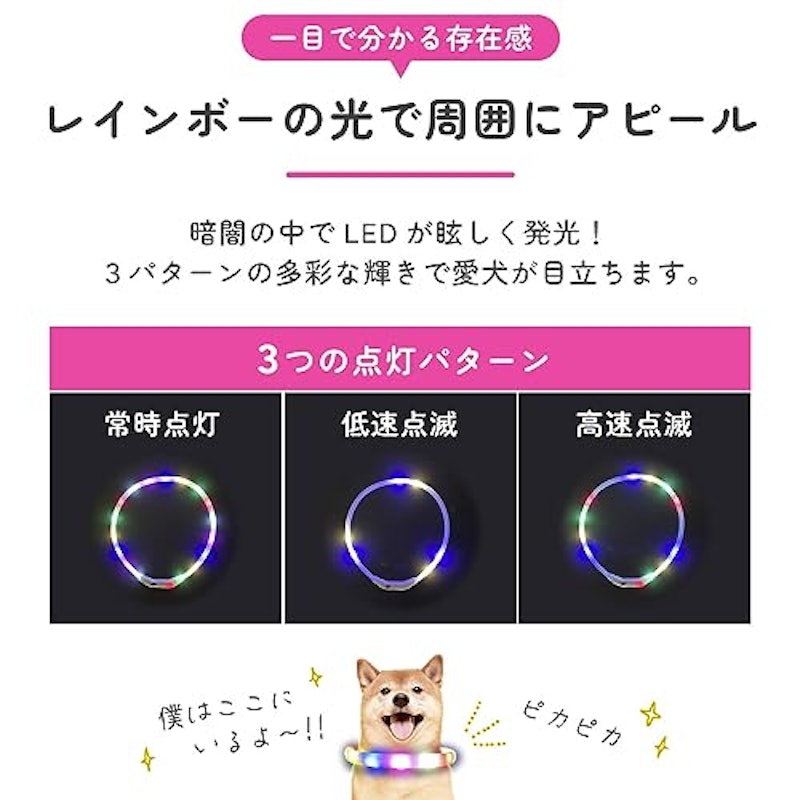 ペットの光る首輪 5