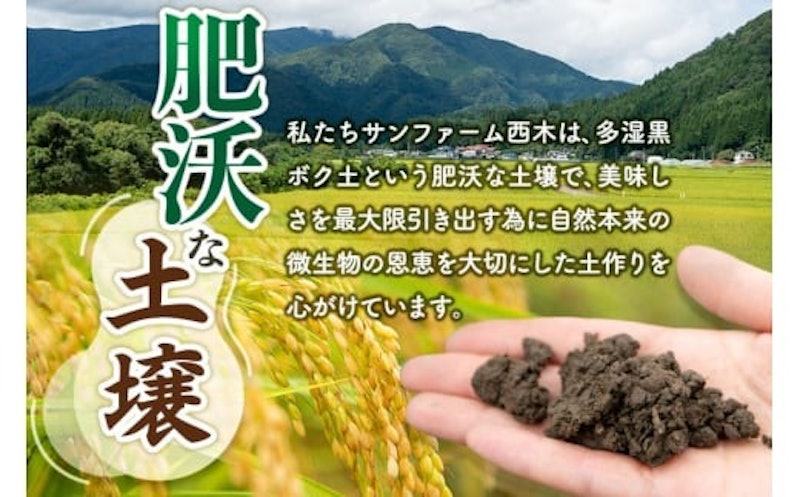 令和7年産新米予約 定期便6ヶ月 秋田県産あきたこまち 4