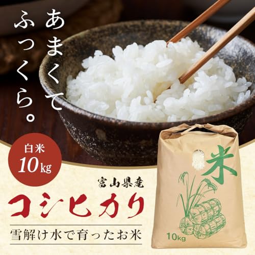 富山産コシヒカリ 2