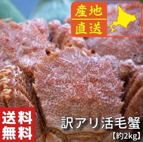 活毛蟹 2