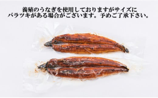 うなぎの蒲焼 2