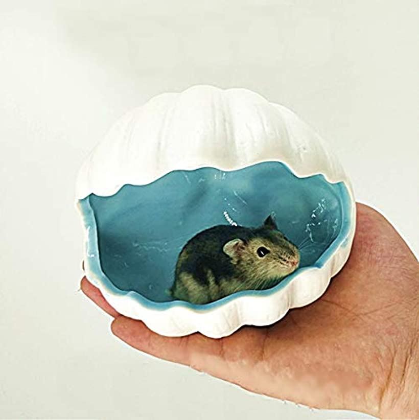 22年 ハムスター用巣箱のおすすめ人気ランキング9選 Mybest