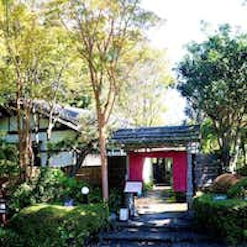 伊豆高原 城ヶ崎温泉 花吹雪 1