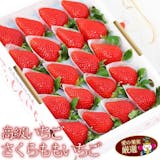高級いちごのおすすめ人気ランキング【2026年】 2