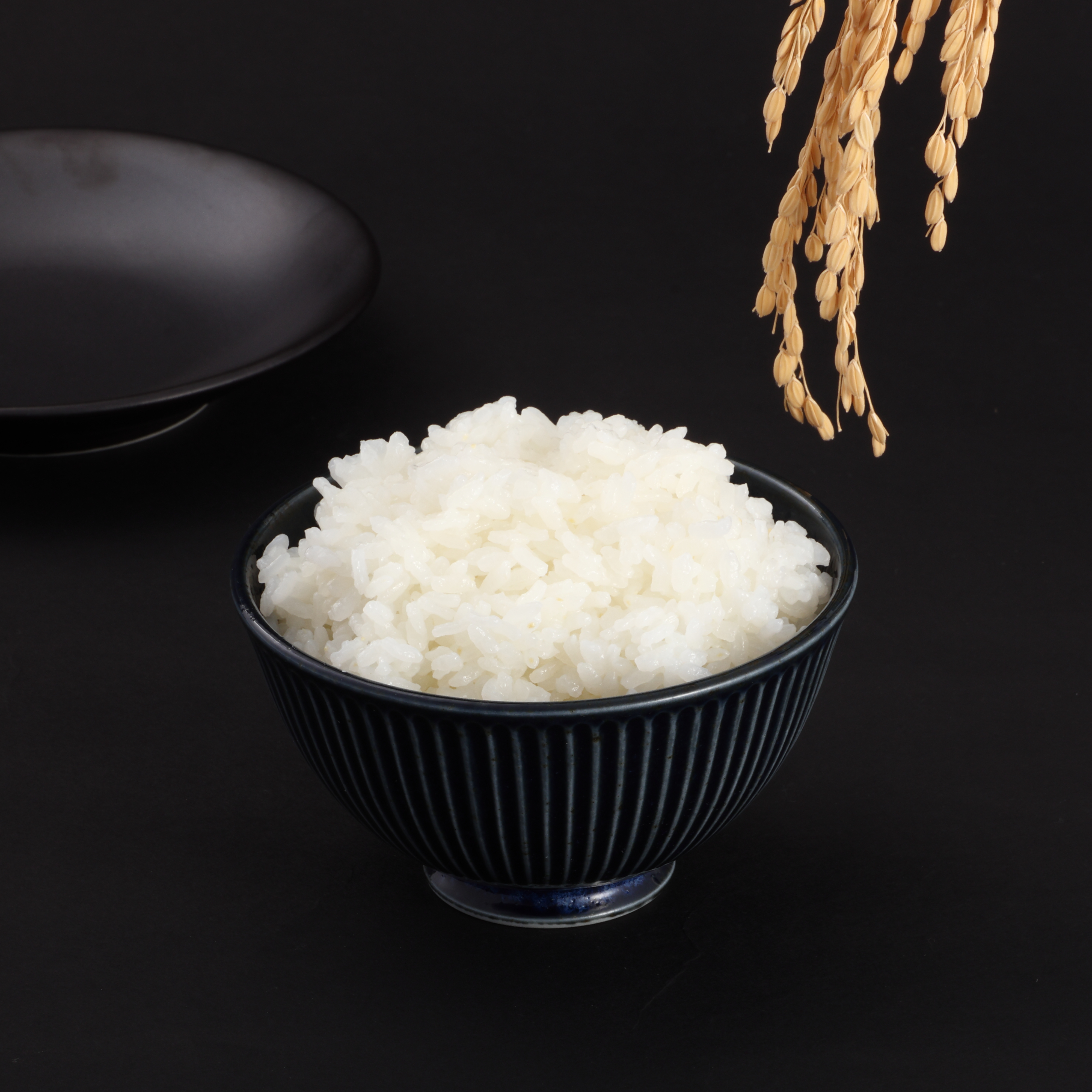 真空IH 炎匠炊き 3