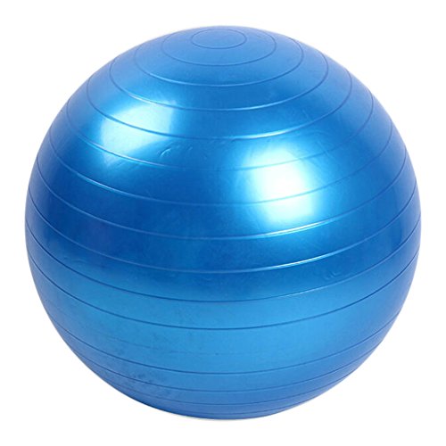 bloon paris ブルーンパリス　45㎝　バランスボール インテリアに馴染むバランスボールをMakuakeで先行販売 開始直後