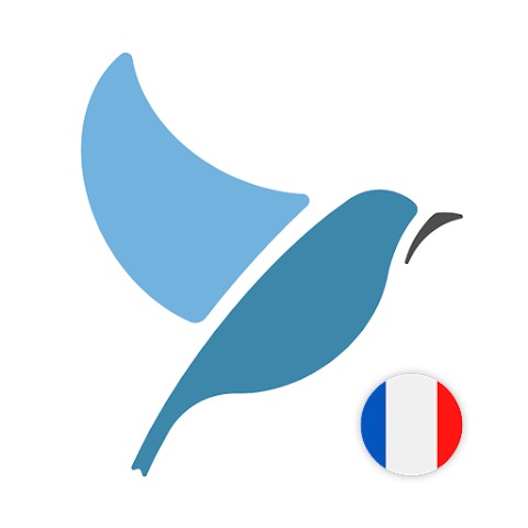 Learn French. Speak French. St 1