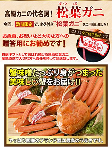 贈答用タグ付き 特上松葉ガニ 3
