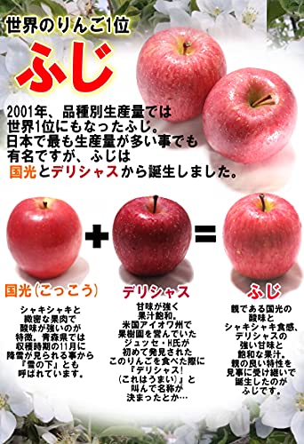 りんご ふじ 訳あり 2