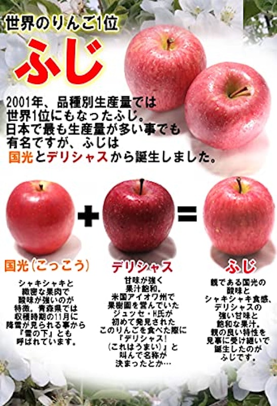 りんご ふじ 訳あり 2
