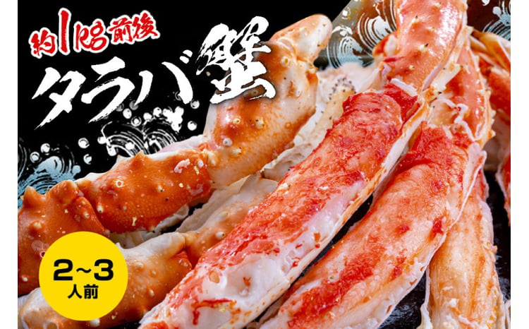 カジマ×ますよね！ 特大 ボイル 本たらばがに  1
