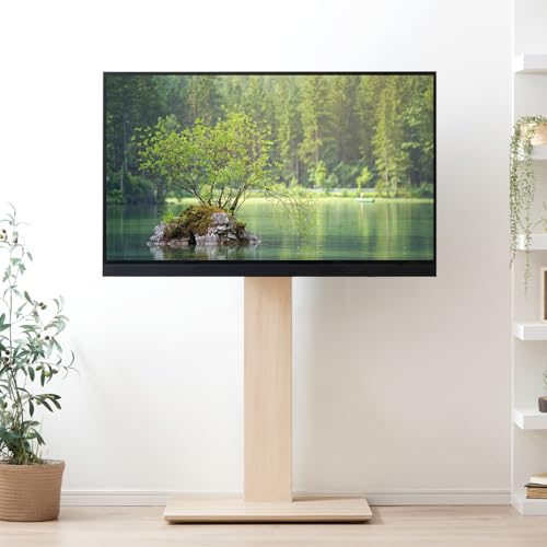 テレビスタンド 1