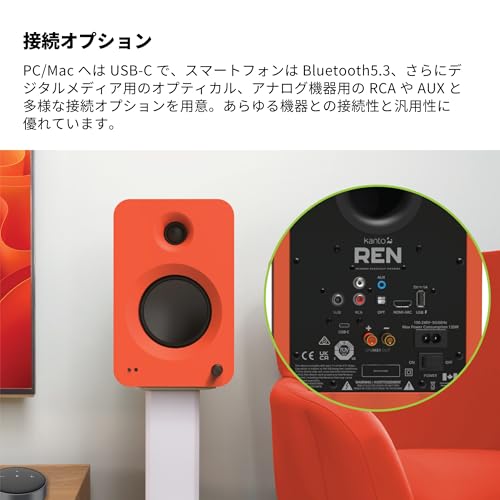 REN パワードスピーカーシステム 6