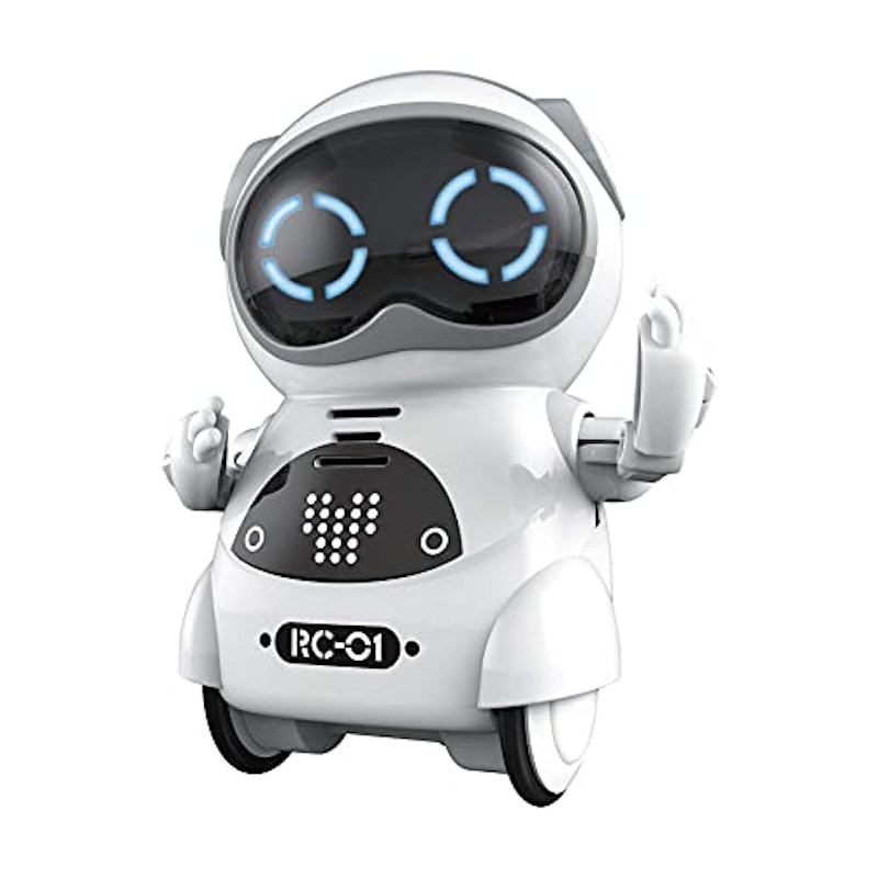 ポケットロボット 1