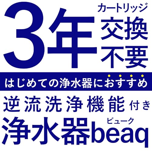 ビューク ダイアウェーブ（3年タイプ） 2