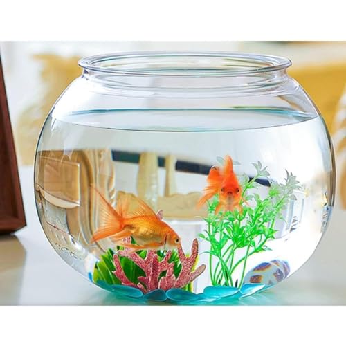 金魚鉢 4