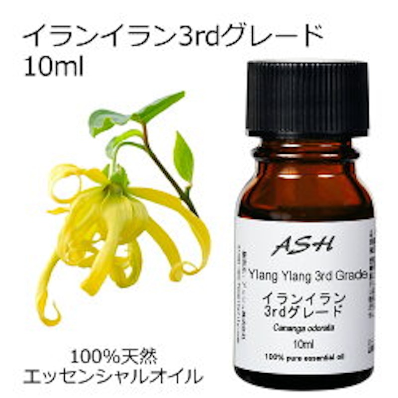 21年 エキゾチック系アロマオイルのおすすめ人気ランキング11選 Mybest 21年 エキゾチック系アロマオイルのおすすめ人気ランキング11選 Mybest