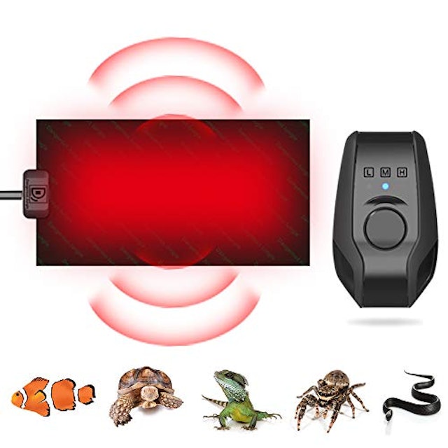 21年 爬虫類用ヒーターのおすすめ人気ランキング13選 Mybest 21年 爬虫類用ヒーターのおすすめ人気ランキング13選 Mybest