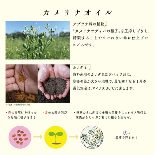 カメリナオイル 5本 2