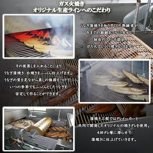 うなぎ蒲焼き 5袋 7