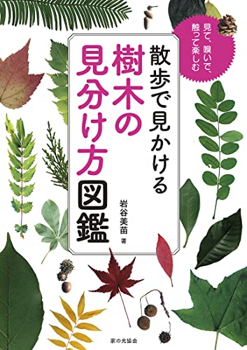 釣り人のための渓流の樹木図鑑 釣り人のための渓流の樹木図鑑 | 菅原 光二 |本 | 通販 | Amazon
