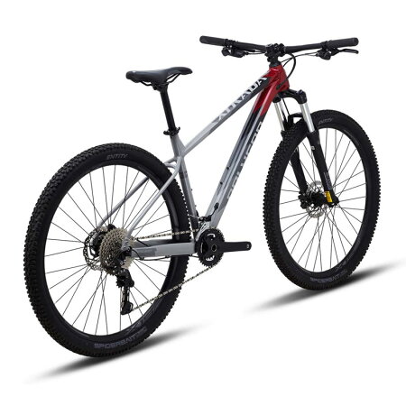 XTRADA 5  3