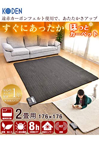 ホットカーペット 2
