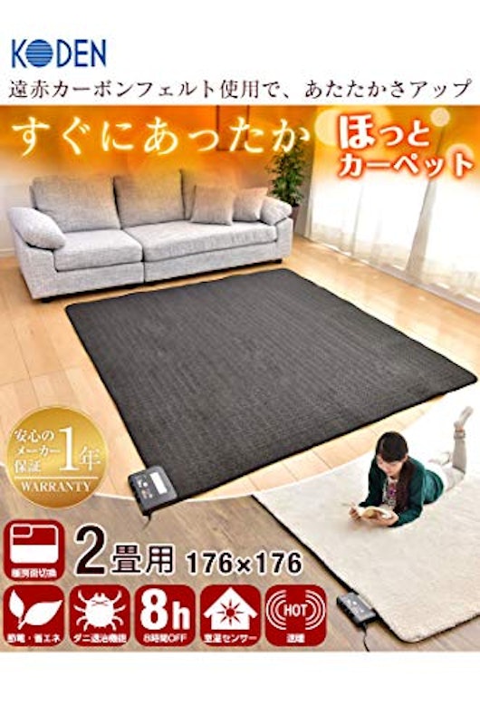 ホットカーペット 2