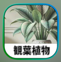 カードで観葉植物 1