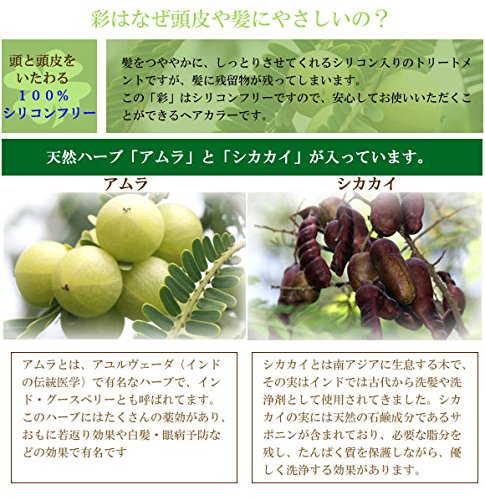 エムズハーブ アブソルト彩 4RD 100g 3