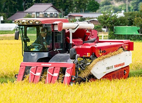 一迫産限定米 ひとめぼれ 無洗米 4