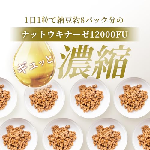 Herbase ナットウキナーゼ  2