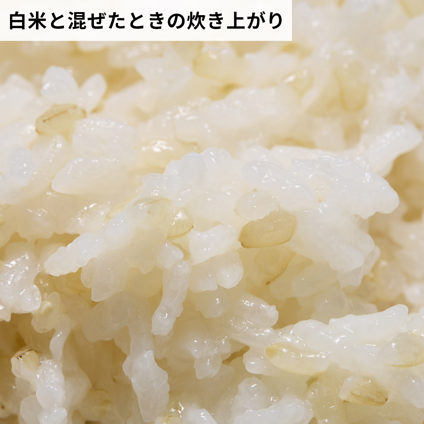 やわらかおいしい発芽玄米 7