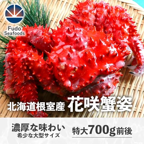 花咲蟹姿 2