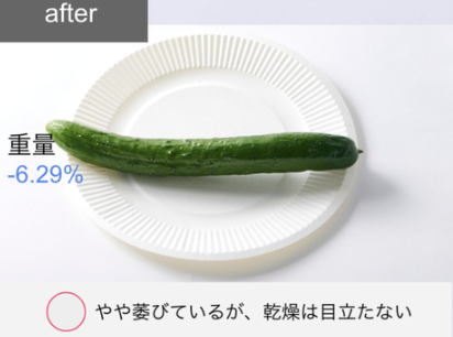 162L 冷凍冷蔵庫 13