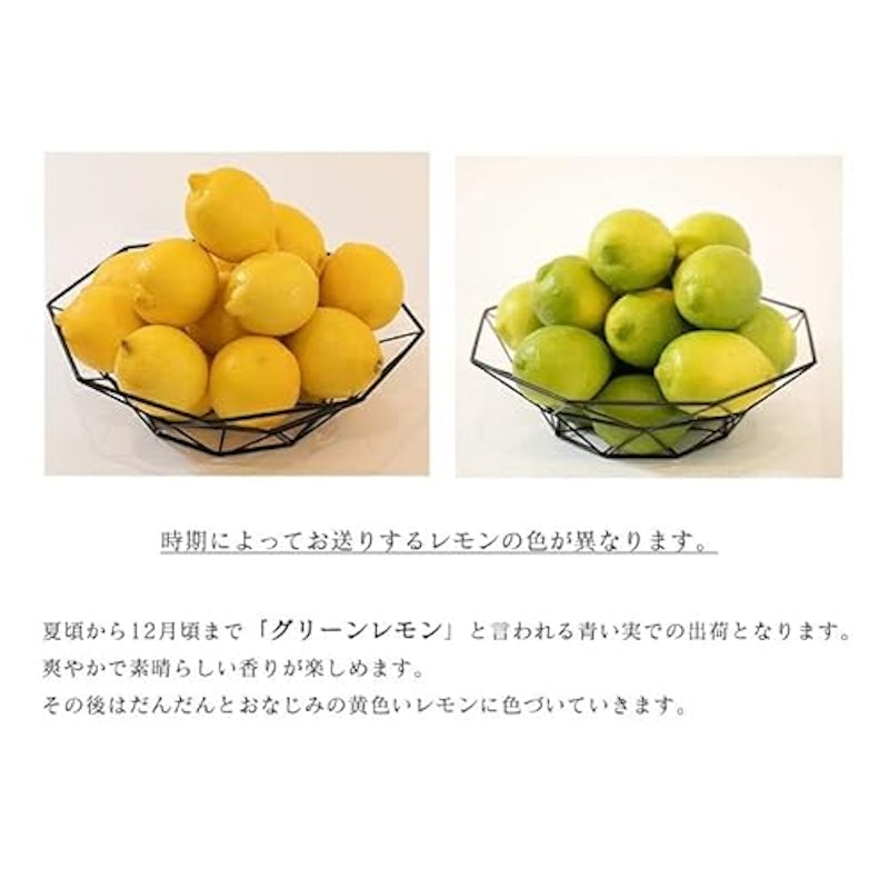 レモン 国産 訳あり 6