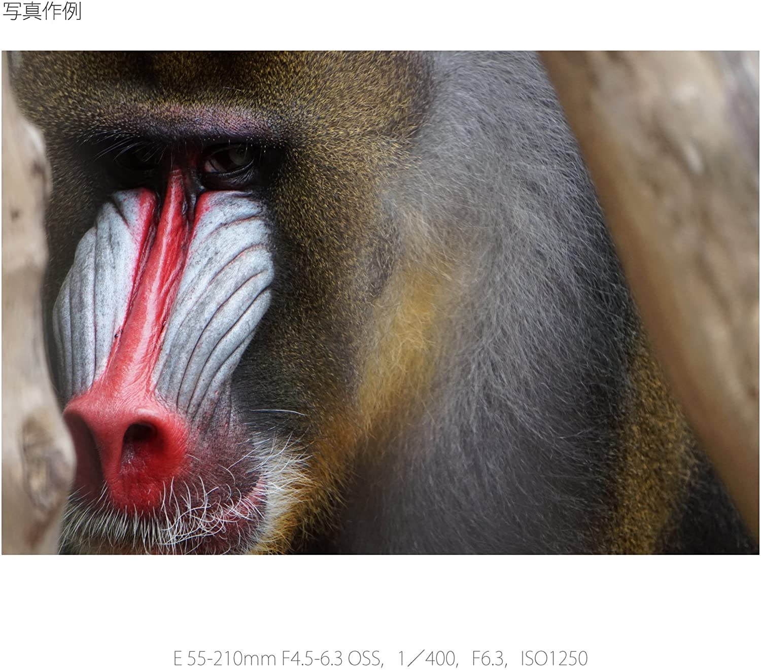 E 55-210mm F4.5-6.3 OSS 3