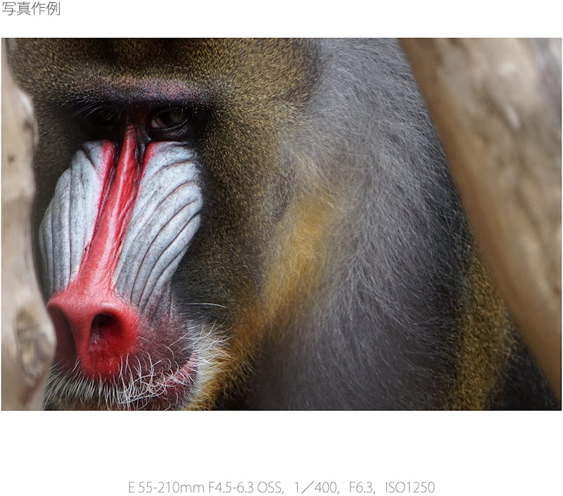 E 55-210mm F4.5-6.3 OSS 3