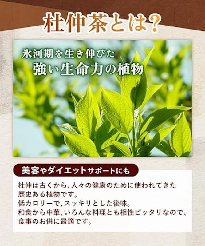 杜仲茶 3