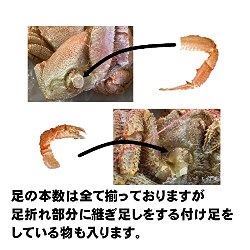 特大毛蟹 6