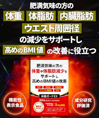 体脂ガードEX 2