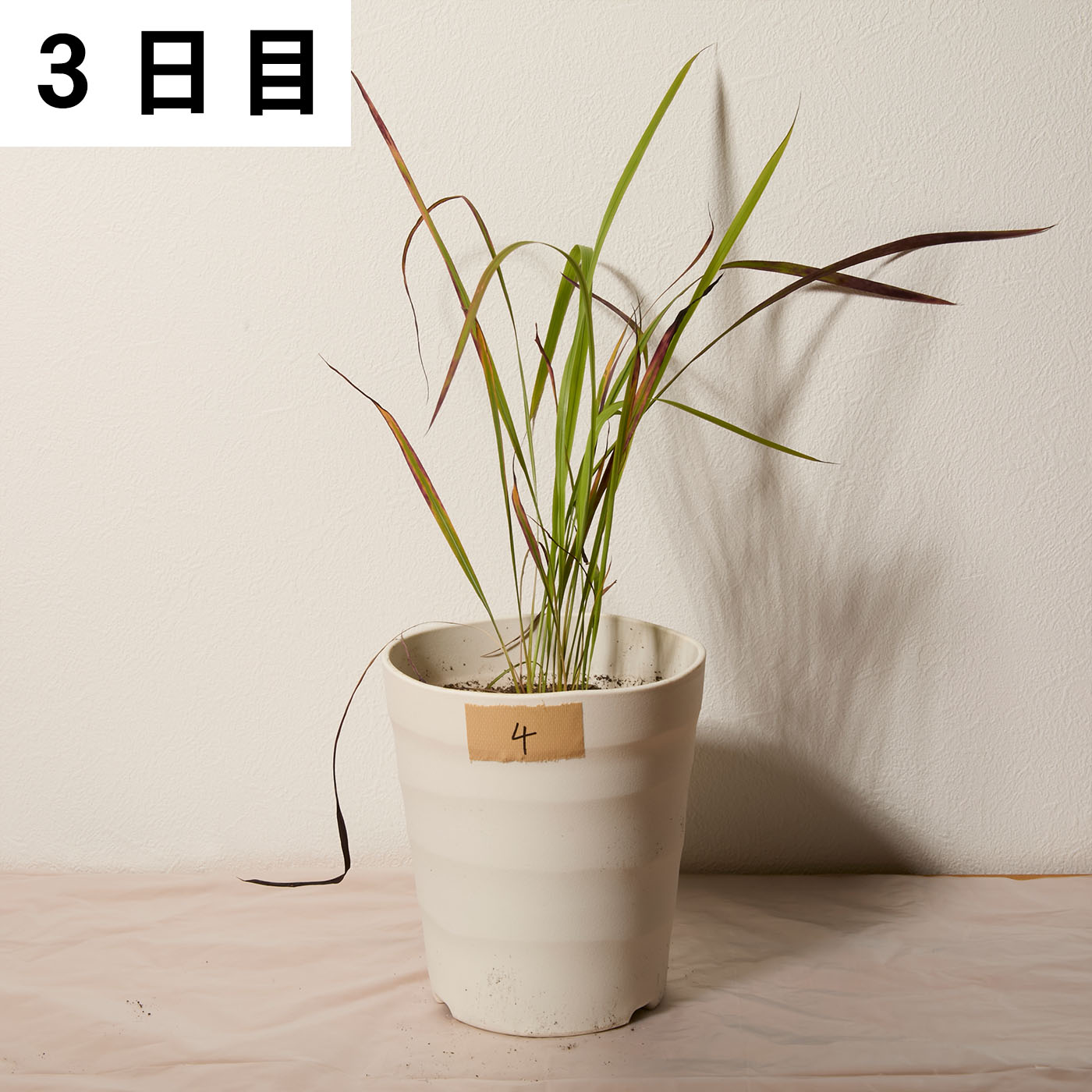 バスタ液剤 16